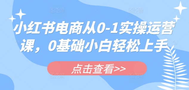 小红书电商从0-1实操运营课，0基础小白轻松上手-时光资源网